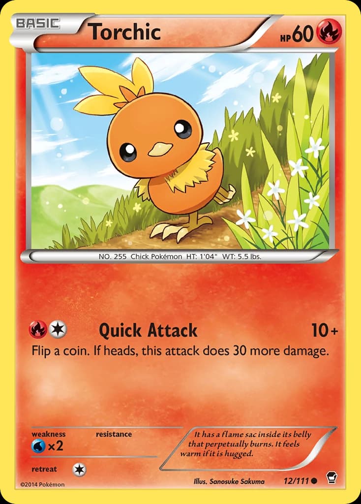 Torchic (12)