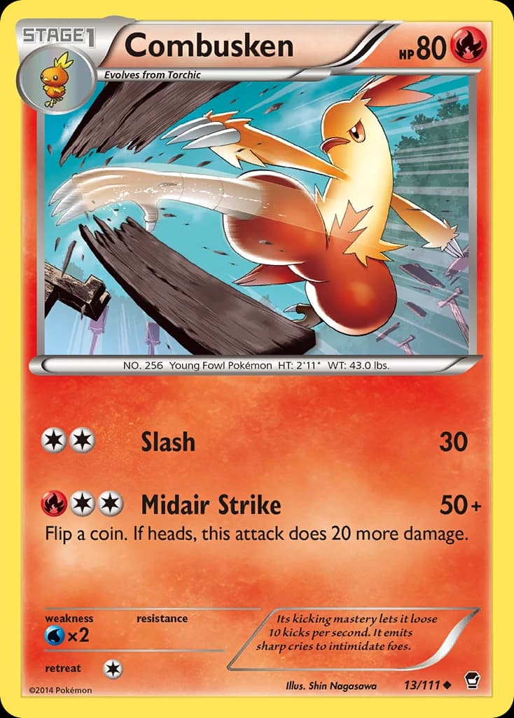 Combusken (13)