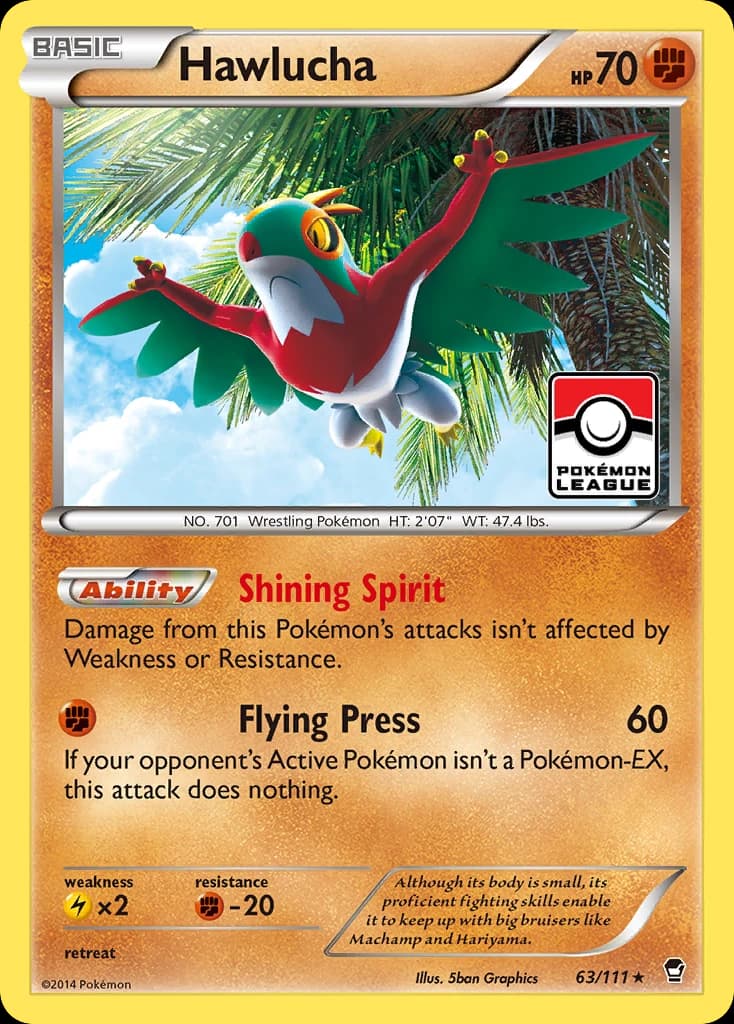 Hawlucha (63)