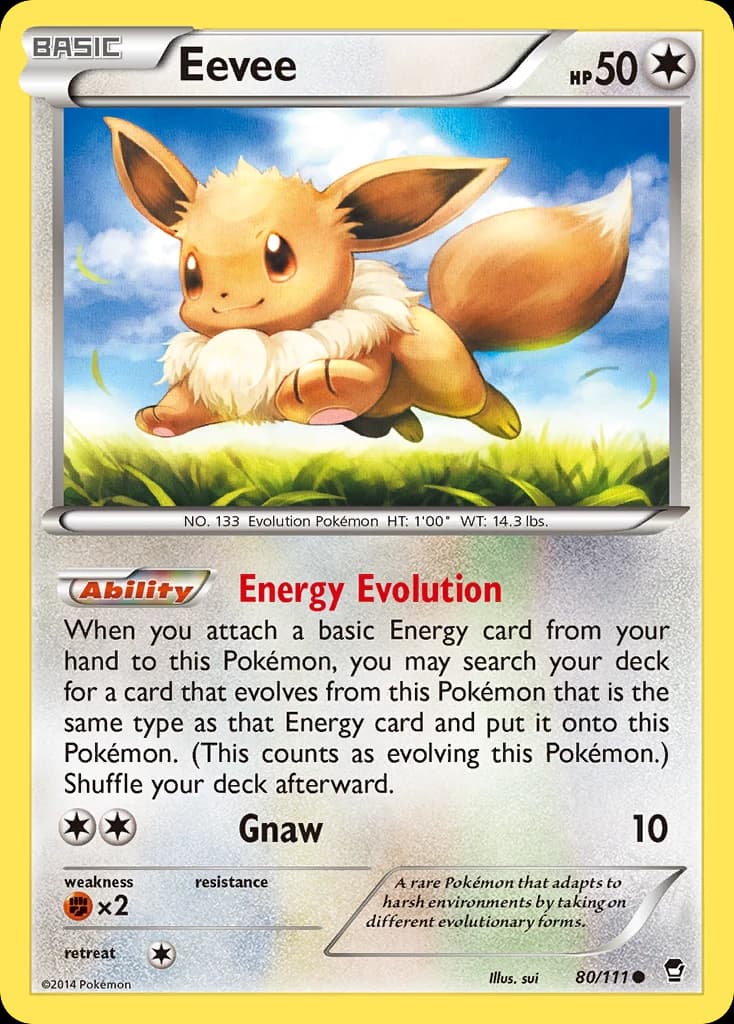 Eevee (80)