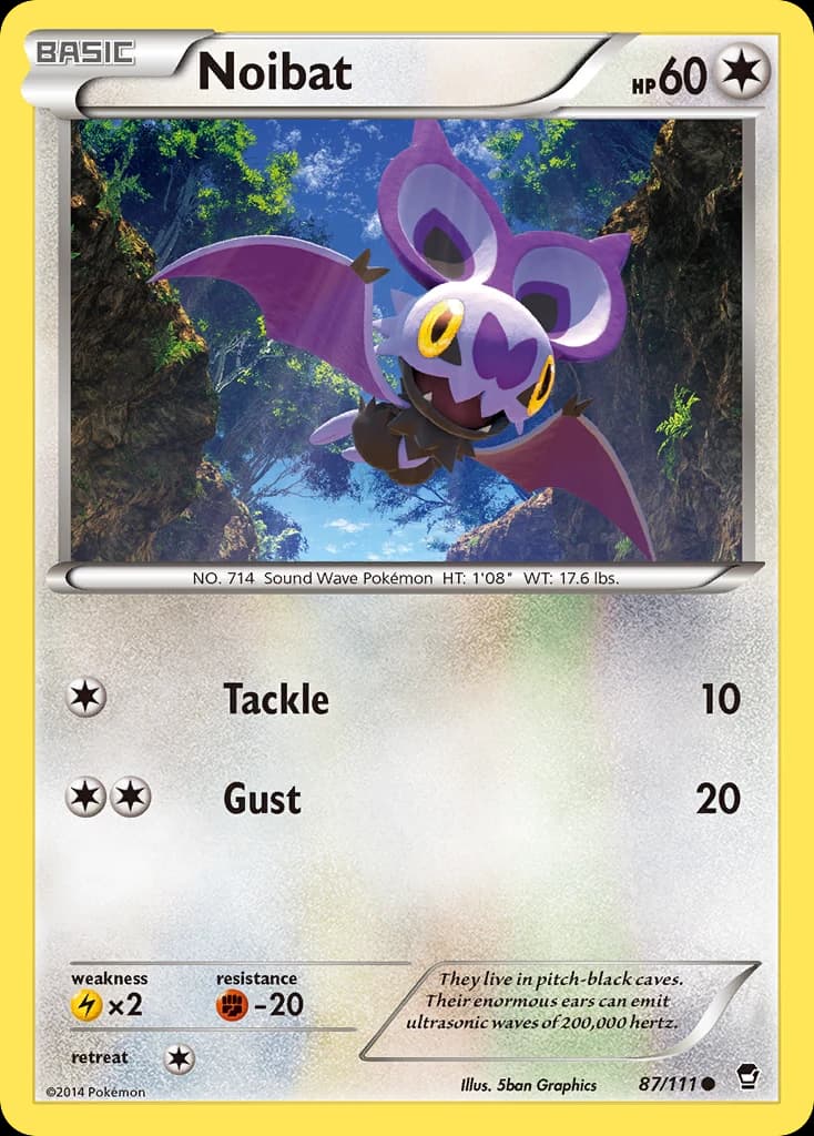 Noibat (87)