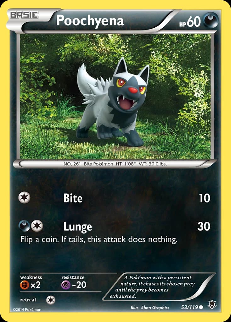 Poochyena (53)