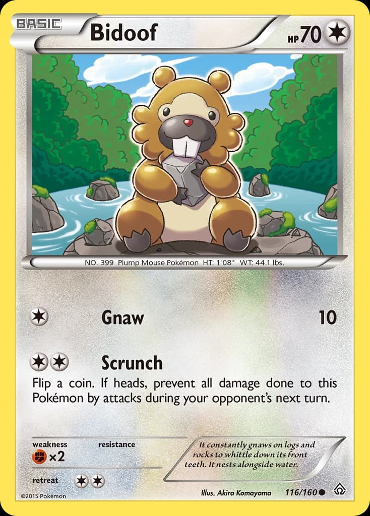 Bidoof (116)