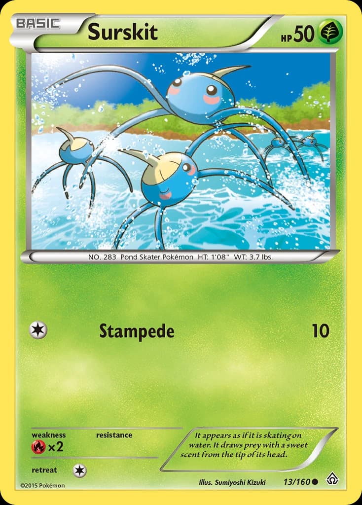 Surskit (13)