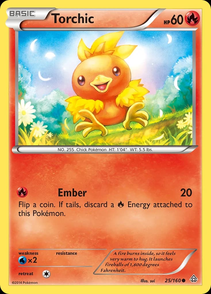 Torchic (25)