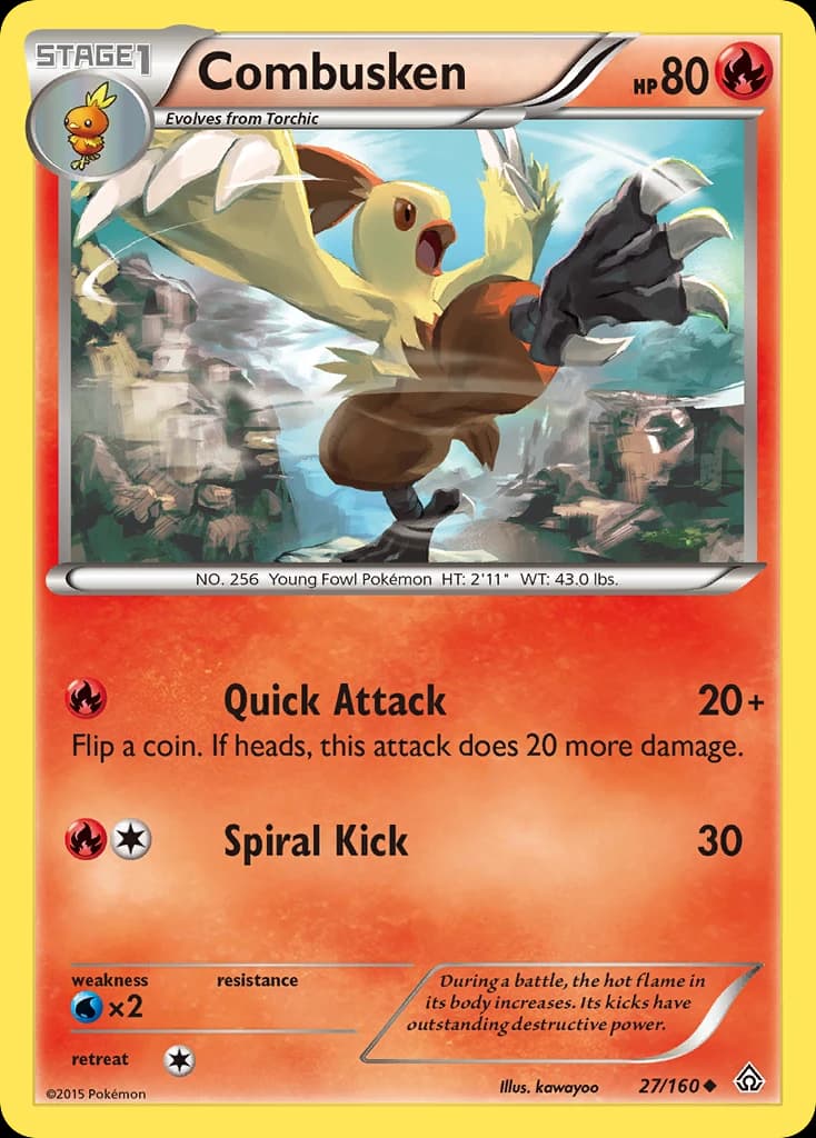 Combusken (27)