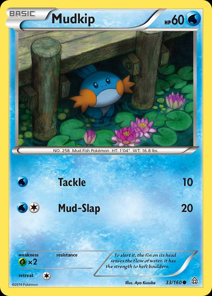 Mudkip (33)