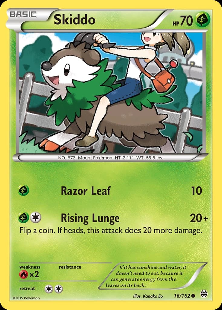 Skiddo (16)