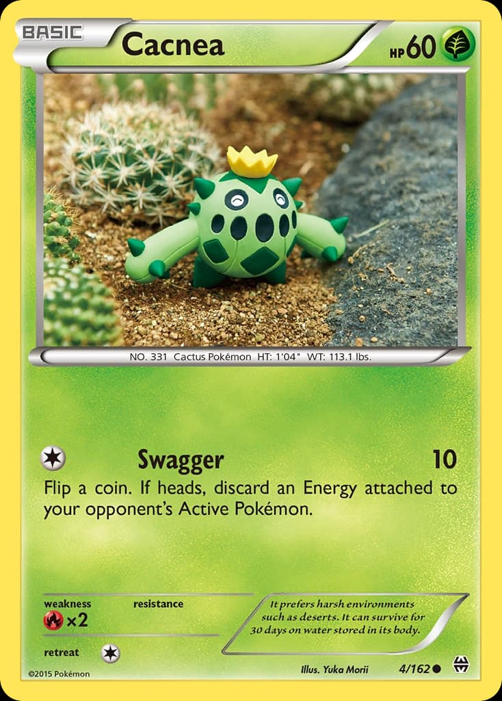 Cacnea (4)