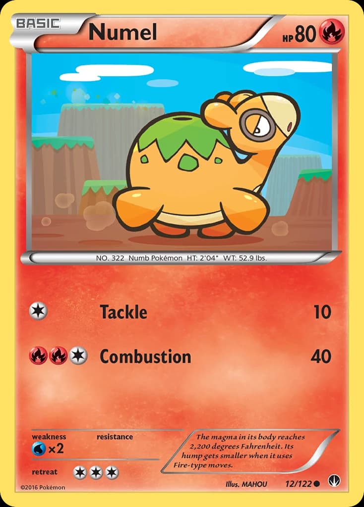 Numel (12)