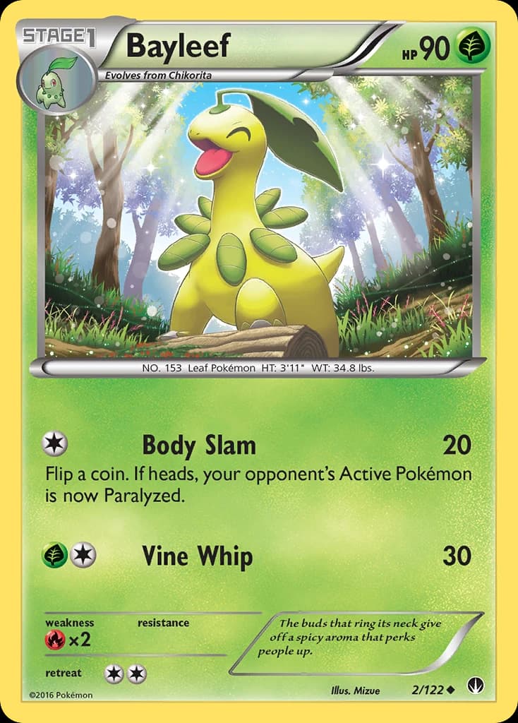 Bayleef (2)