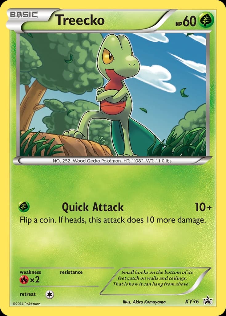 Treecko (XY36)