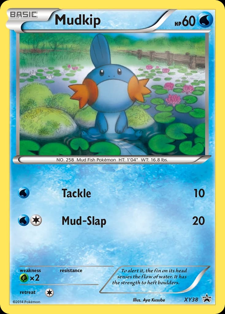 Mudkip (XY38)