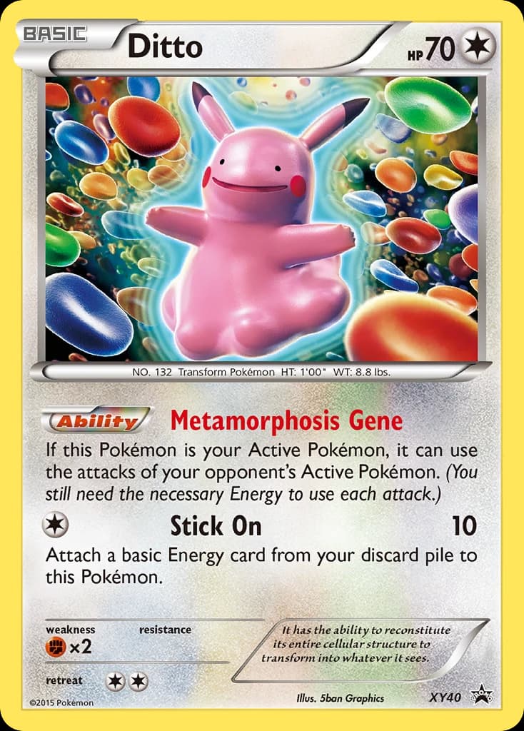 Ditto (XY40)