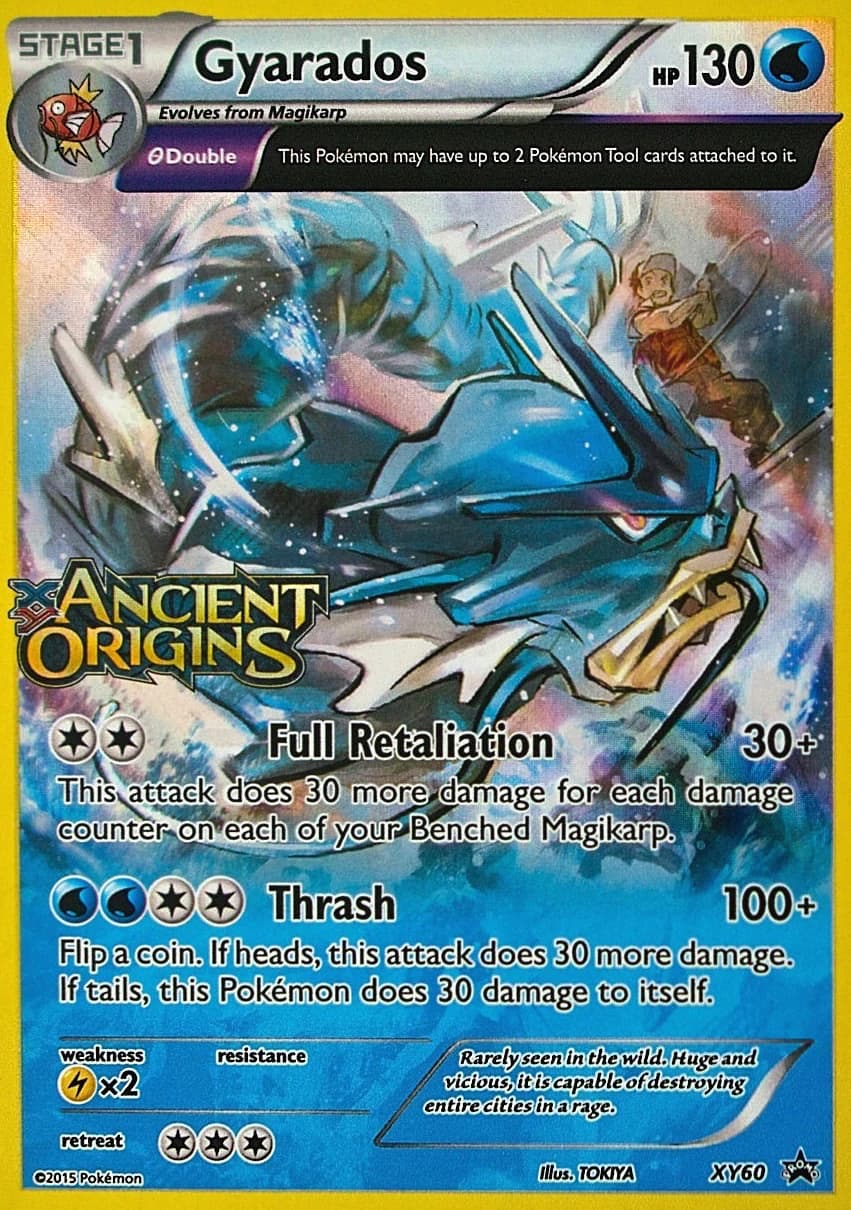 Gyarados (XY60)