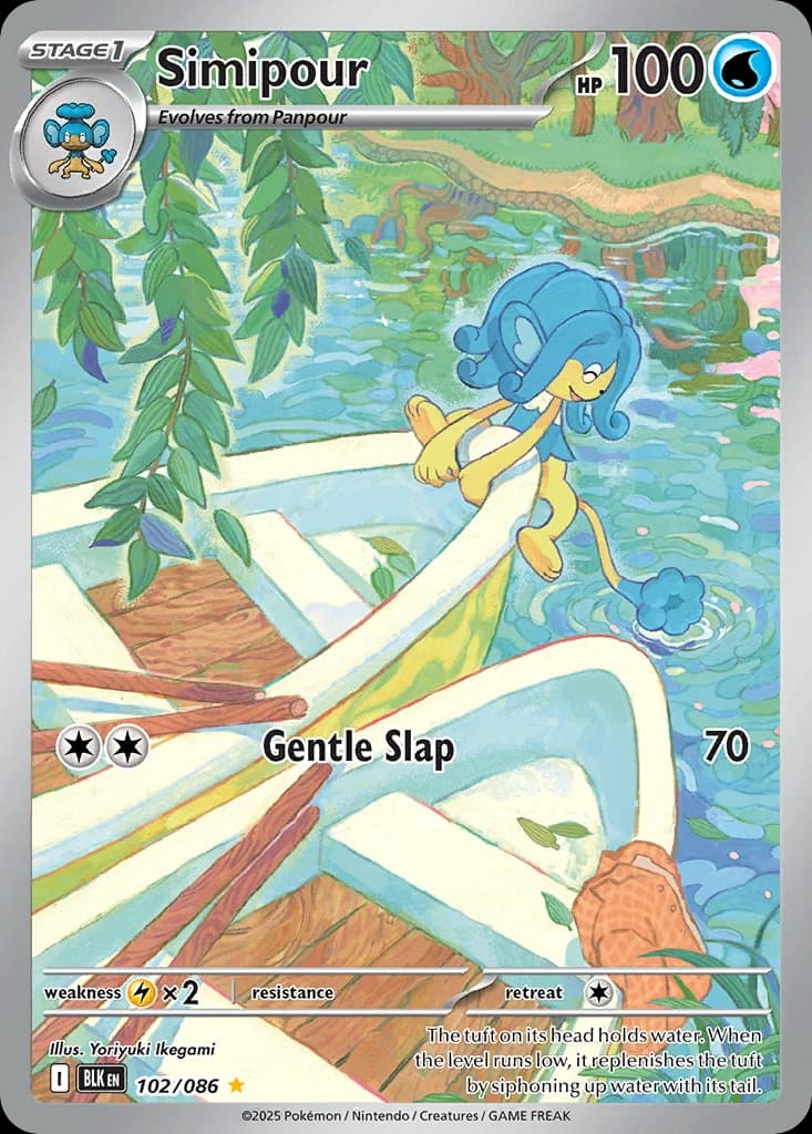 Simipour (102)