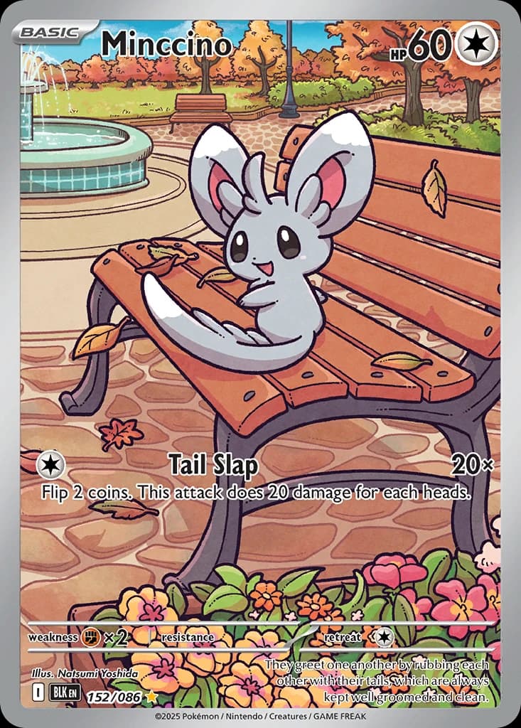 Minccino (152)