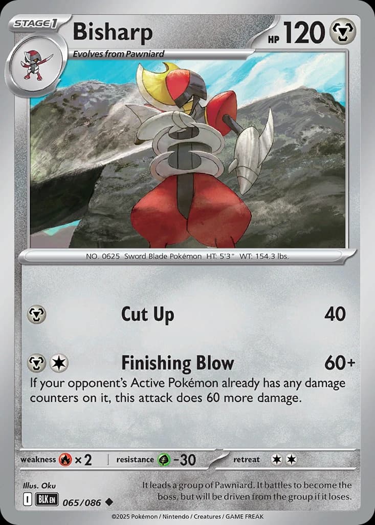Bisharp (65)