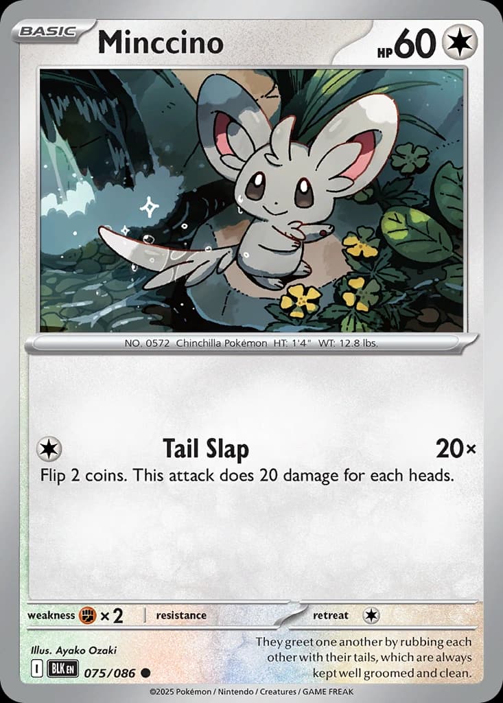 Minccino (75)