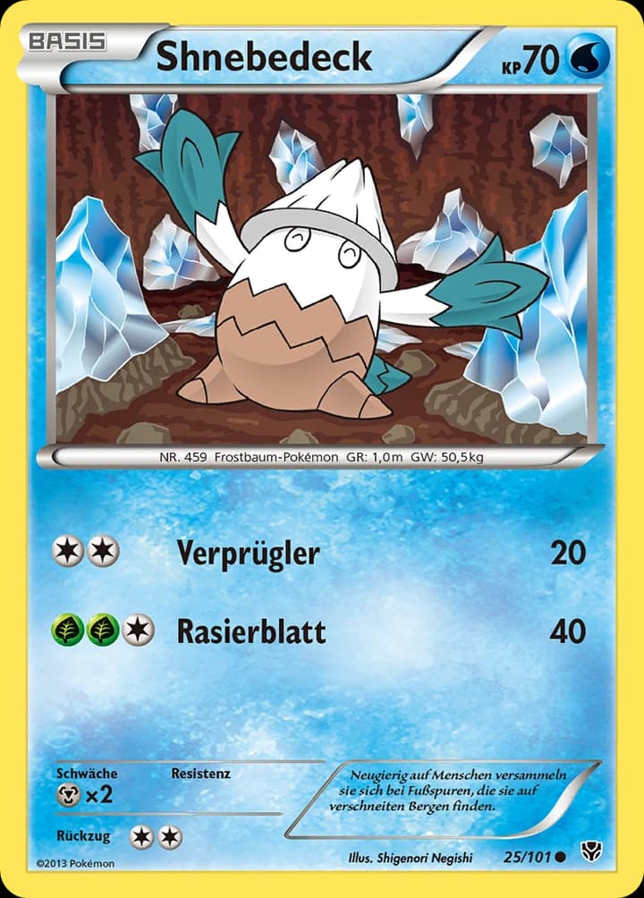 Shnebedeck (25)