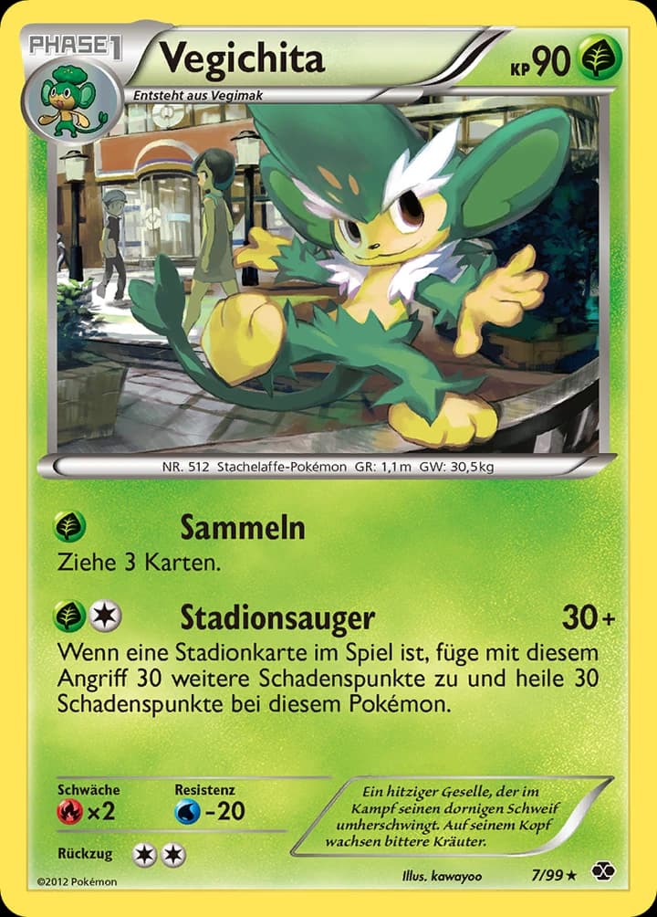 Vegichita (7)