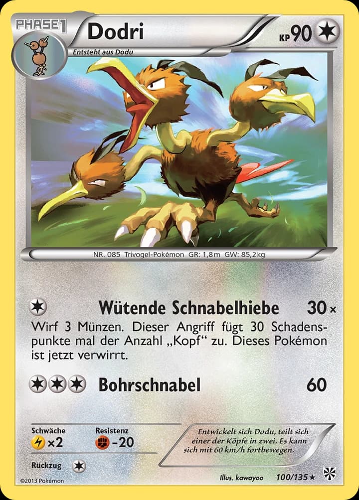Dodri (100)