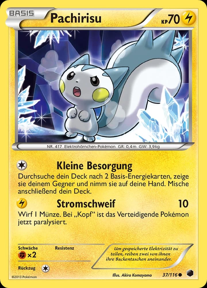 Pachirisu (37)
