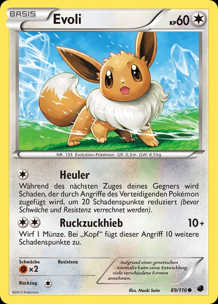 Evoli (89)