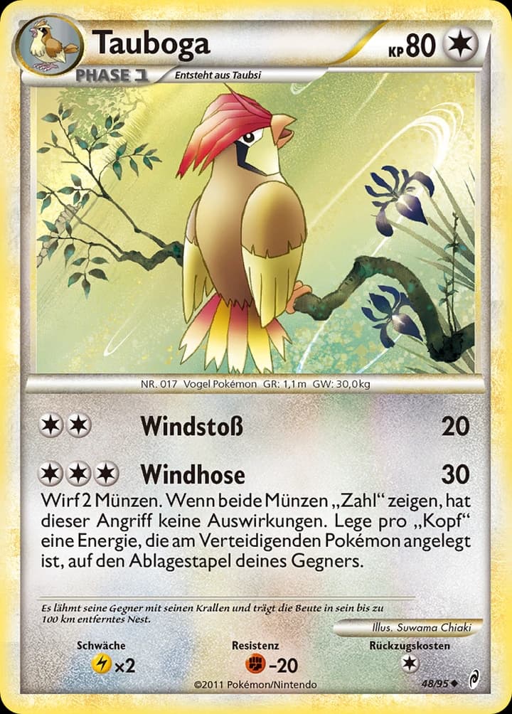 Tauboga (48)