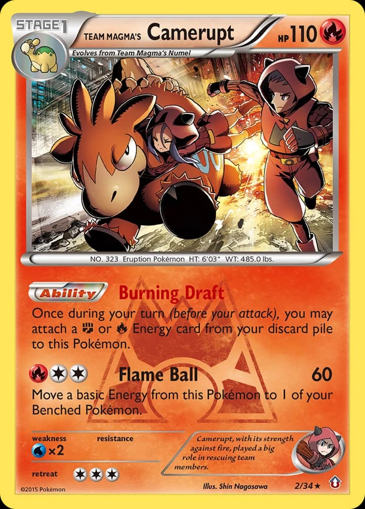 Team Magmas Camerupt (2)