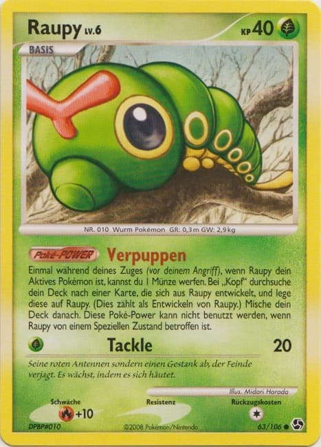 Raupy (63)