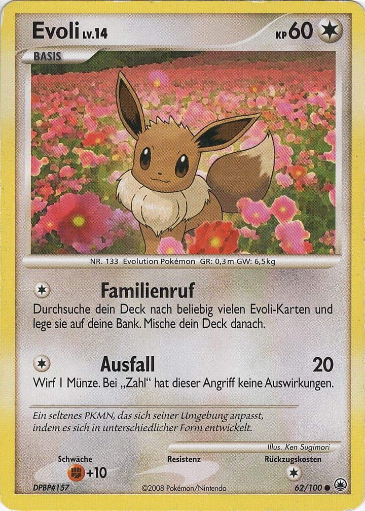 Evoli (62)