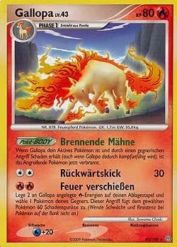 Gallopa (22)