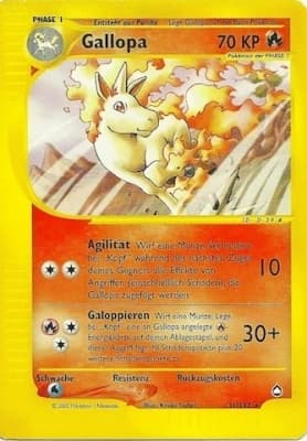 Gallopa (31)