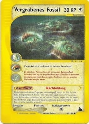 Vergrabenes Fossil (47)