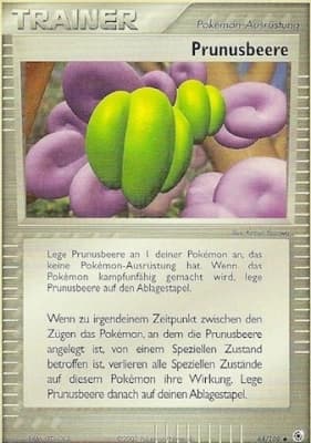 Prunusbeere (84)