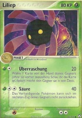 Liliep (52)