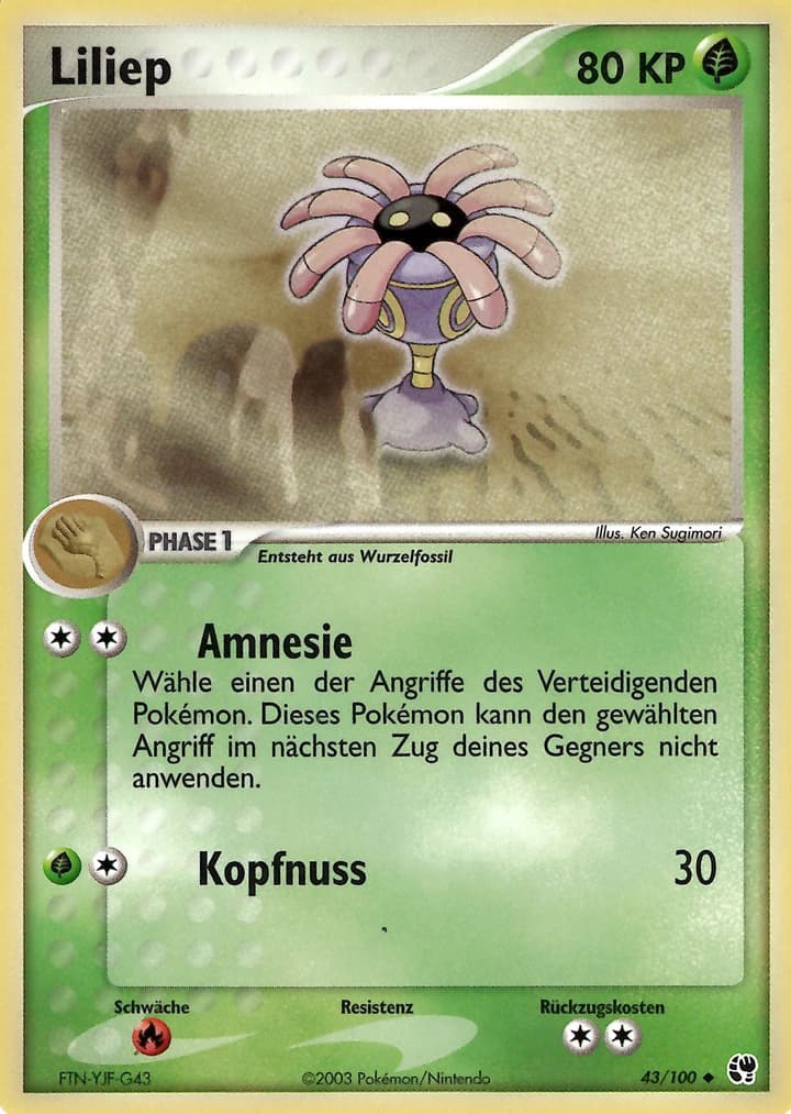 Liliep (43)