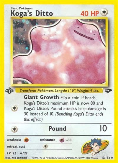 Koga's Ditto (10)