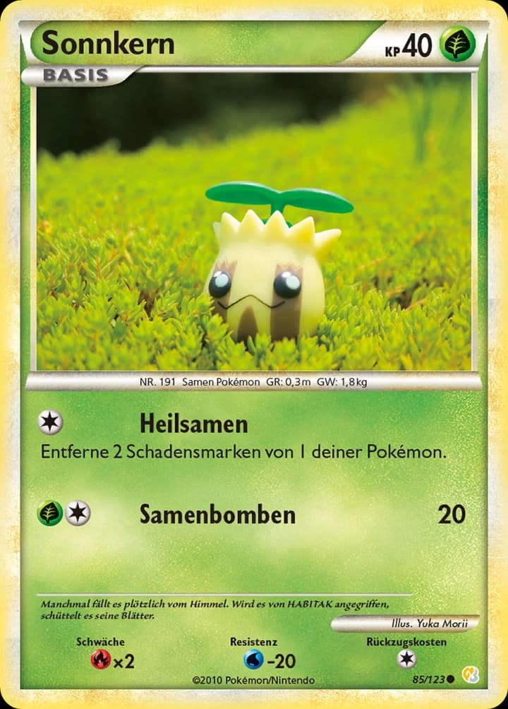 Sonnkern (85)