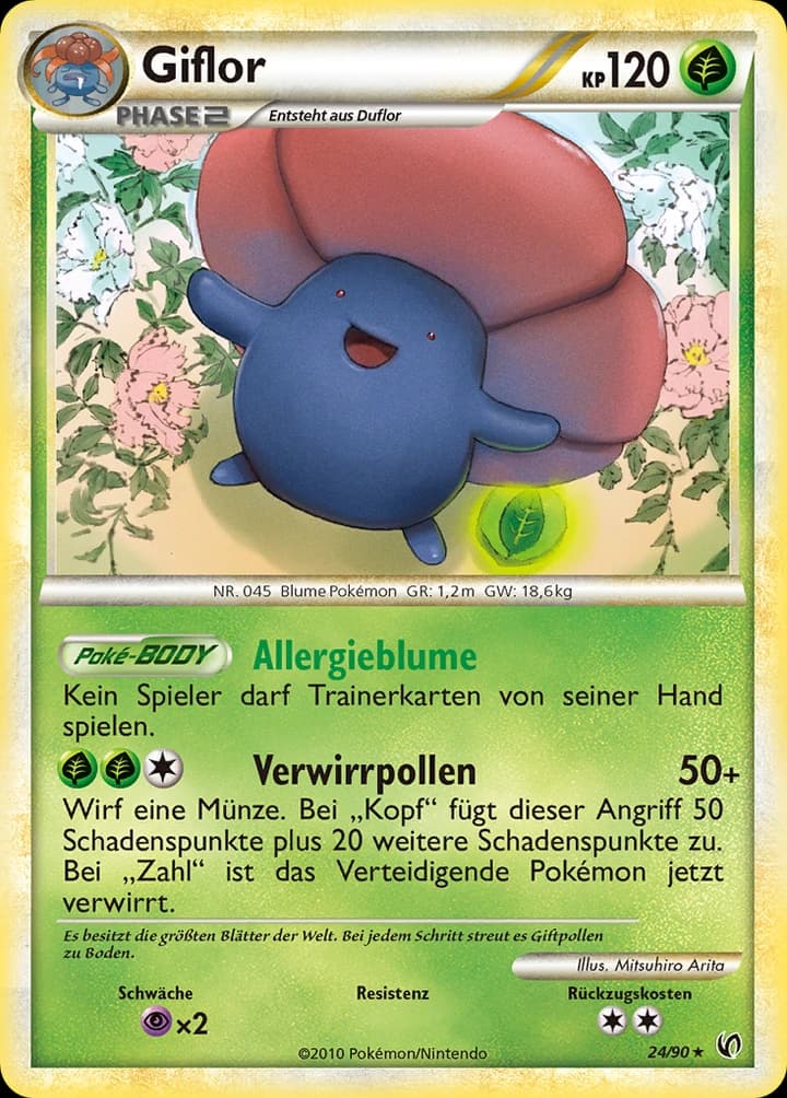 Giflor (24)