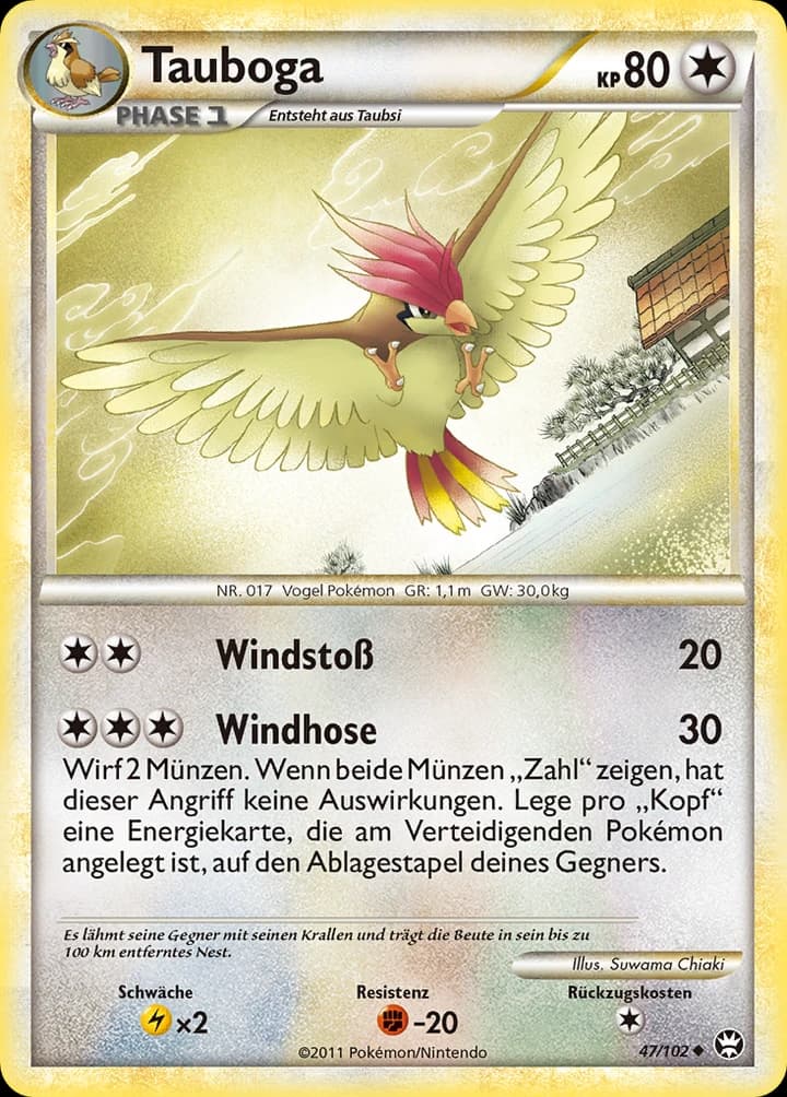 Tauboga (47)