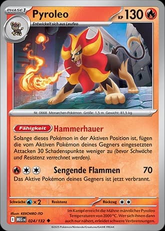 Pyroleo (24)