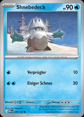 Shnebedeck (35)