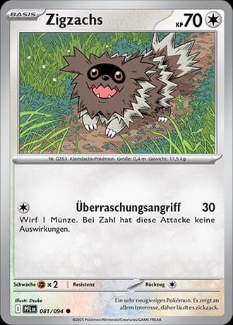 Zigzachs (81)