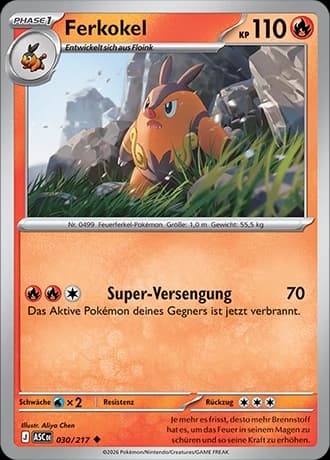 Ferkokel (30)