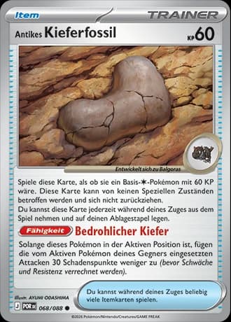 Antikes Kieferfossil (68)