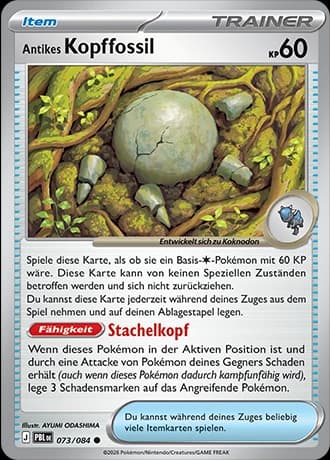 Antikes Kopffossil (73)