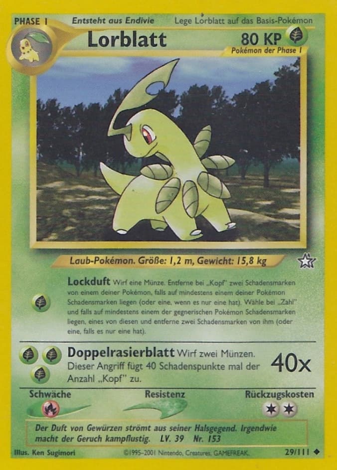 Lorblatt (29)