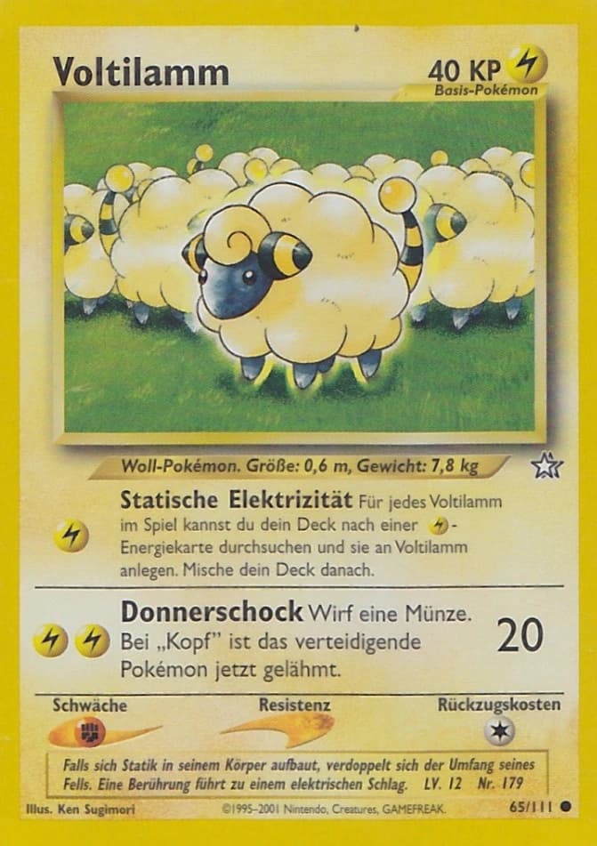 Voltilamm (65)